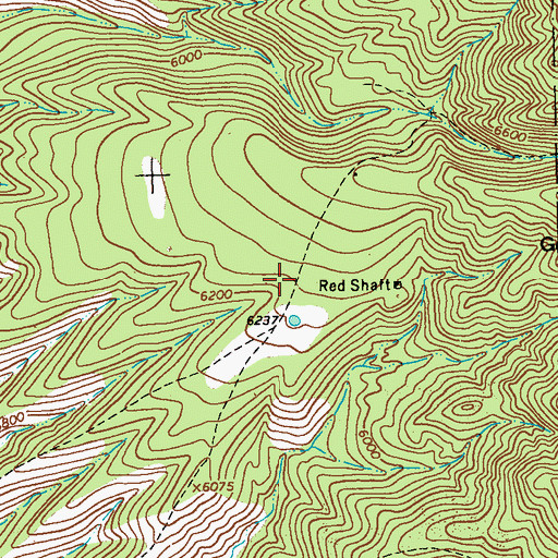 Topographic Map of Red Shaft Propsect, NM
