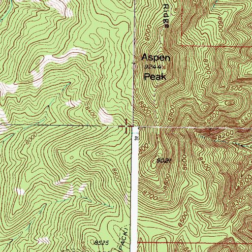 Topographic Map of Laura S, NM