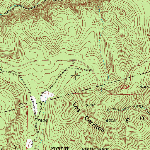 Topographic Map of Forest Road, NM