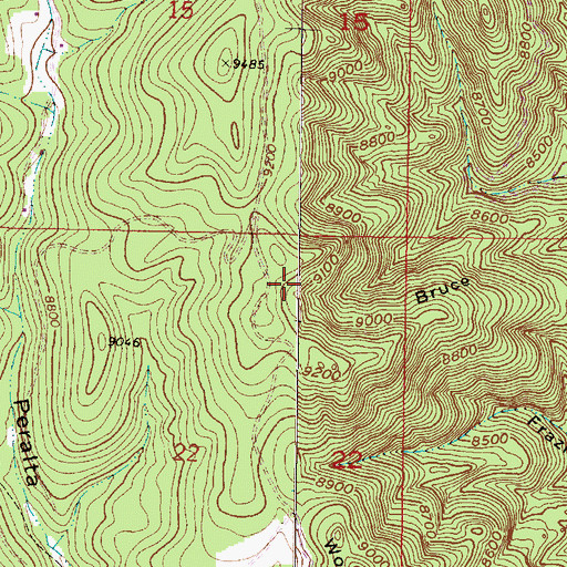 Topographic Map of Lee Ault Pumice Mine, NM
