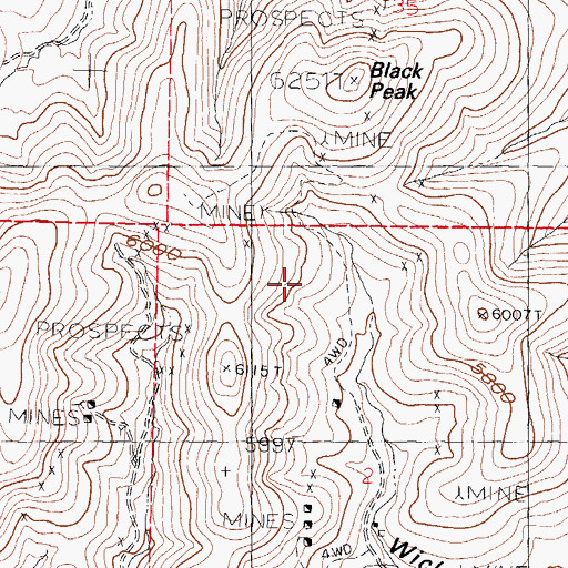 Topographic Map of Black Peak, NM