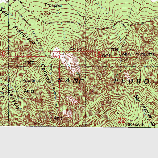 Topographic Map of Shamrock Mine, NM