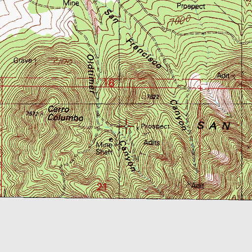Topographic Map of Saint Luke Mine, NM