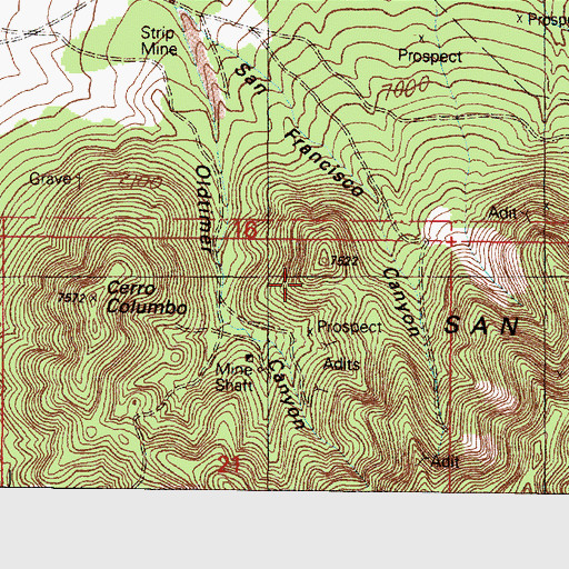 Topographic Map of Saint Paul Mine, NM