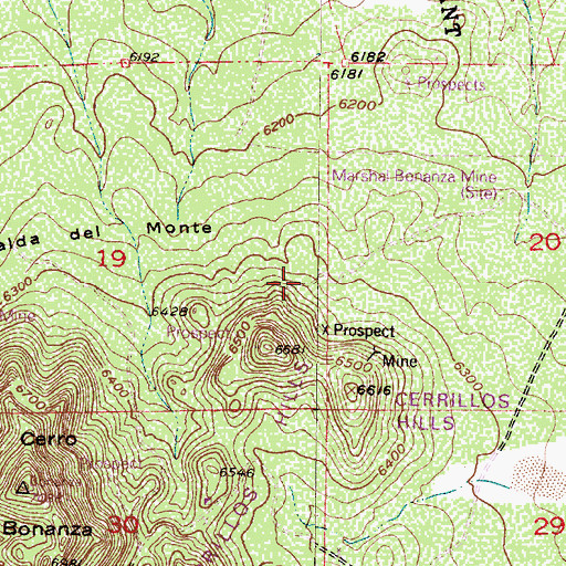 Topographic Map of Evelyn Mine, NM