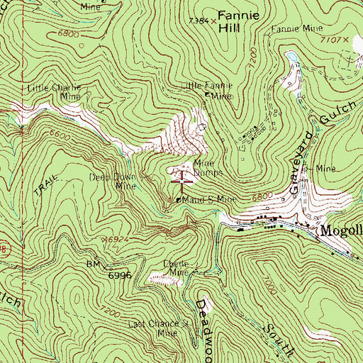Topographic Map of Waldorf Lode, NM