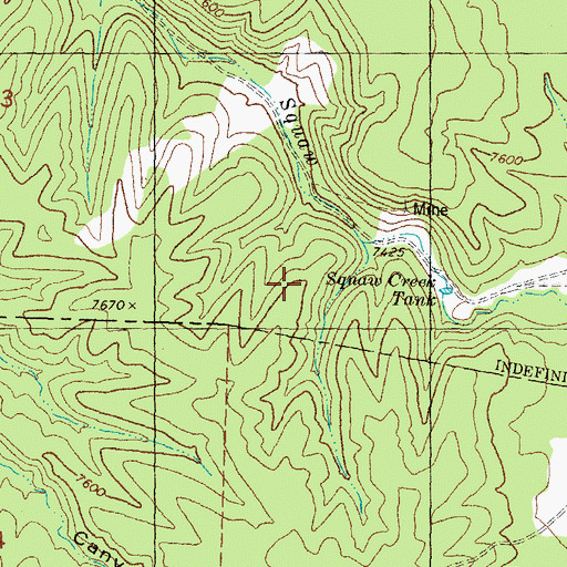 Topographic Map of Indian Association Placer, NM