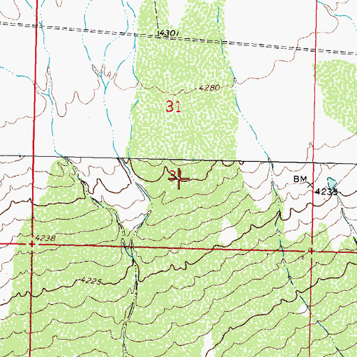 Topographic Map of White King, NM