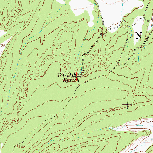 Topographic Map of Tol Dohn Spring, NM