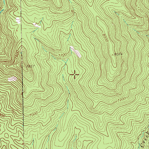 Topographic Map of Blue Rock Prospect, NM