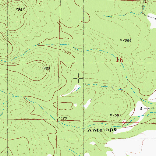 Topographic Map of Bambi Claims, NM