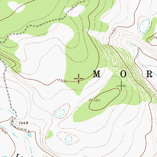 Topographic Map of William Atkens, NM