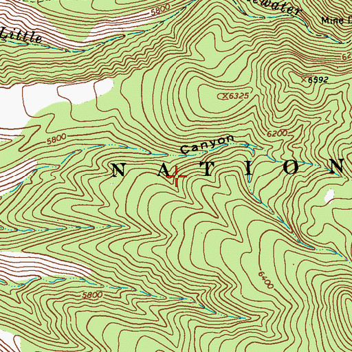 Topographic Map of Shelton Canyon Prospects, NM