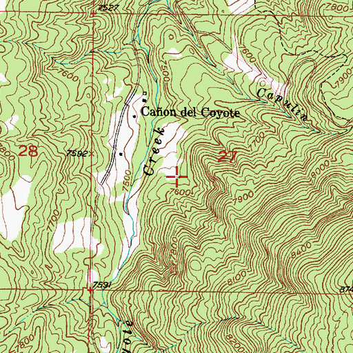 Topographic Map of Rey, NM