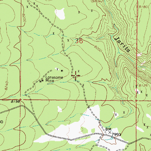 Topographic Map of Veseley, NM