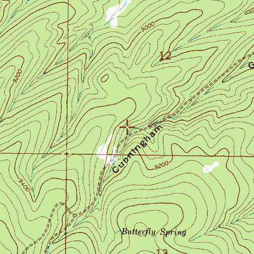 Topographic Map of Southern Cross Prospect, NM