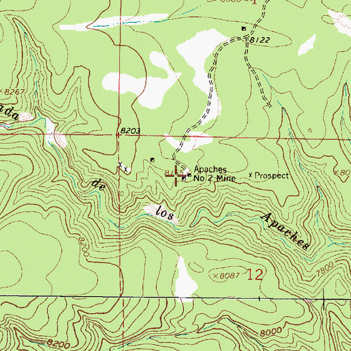 Topographic Map of Sandoval, NM
