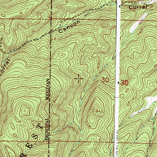 Topographic Map of Whiteflo, NM
