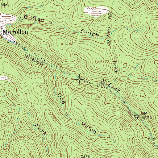 Topographic Map of Cross Lode, NM