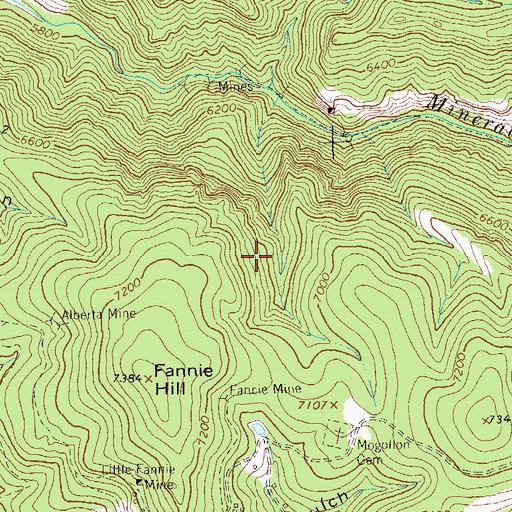 Topographic Map of Thurman Lode, NM