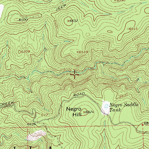 Topographic Map of Duck 1-6, NM