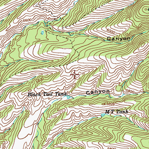Topographic Map of Goddard Canyon Prospects, NM