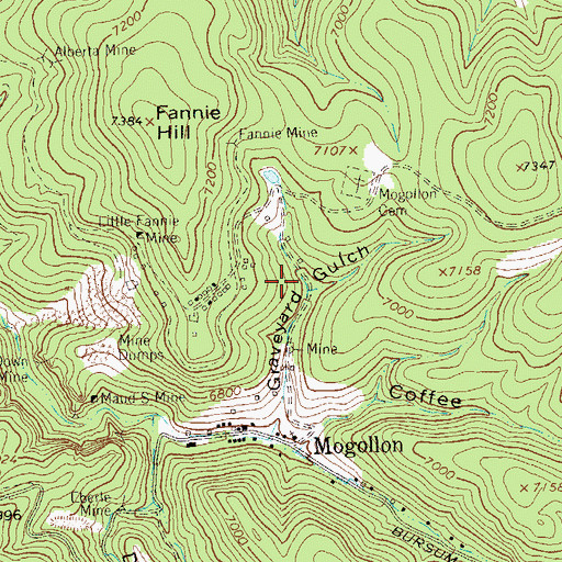 Topographic Map of Graveyard Gulch Mine, NM
