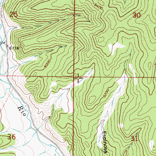 Topographic Map of Lexington Lode, NM