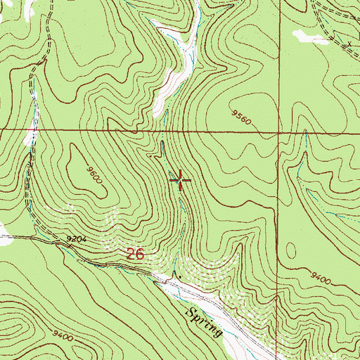 Topographic Map of Juvinile Prospect, NM