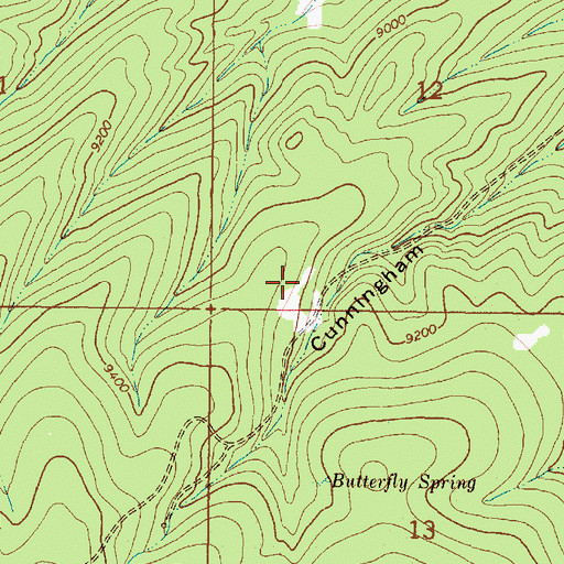 Topographic Map of Horseshoe Claim, NM