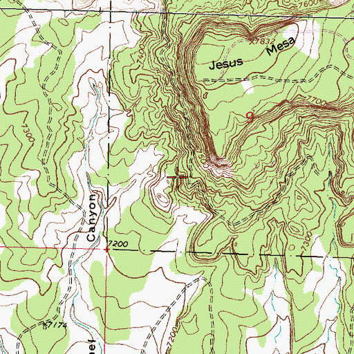 Topographic Map of Uranium Deposit, NM