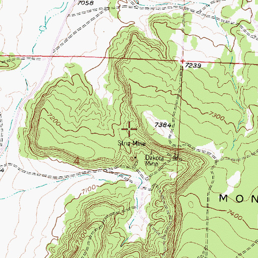 Topographic Map of Junior Mine, NM