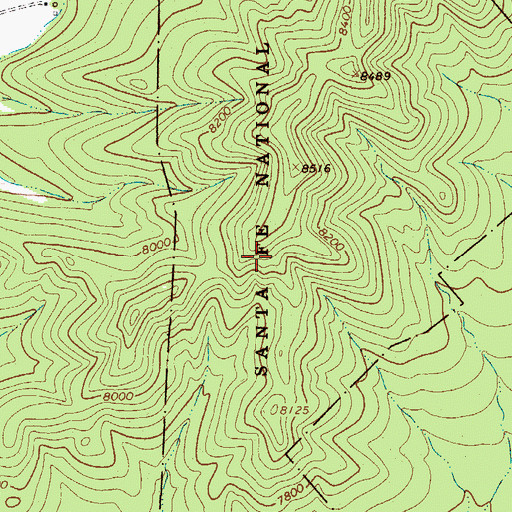 Topographic Map of Joe Matt and Sam Adams Mine, NM