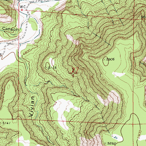 Topographic Map of Lesters Cabin, NM