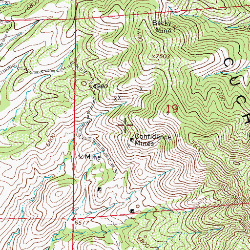 Topographic Map of Confidence, NM