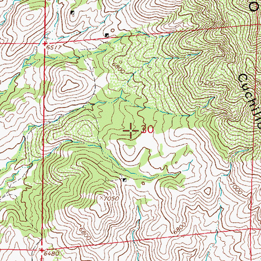 Topographic Map of Denver Lode and Little Bonanza, NM
