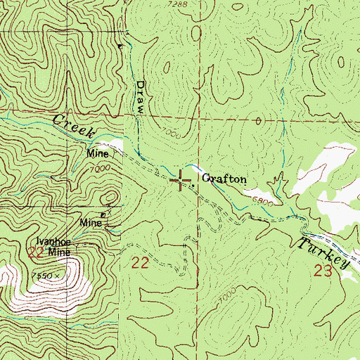 Topographic Map of Gold Coin, NM