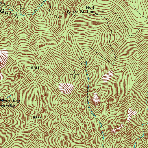 Topographic Map of Iron Clad Claims, NM