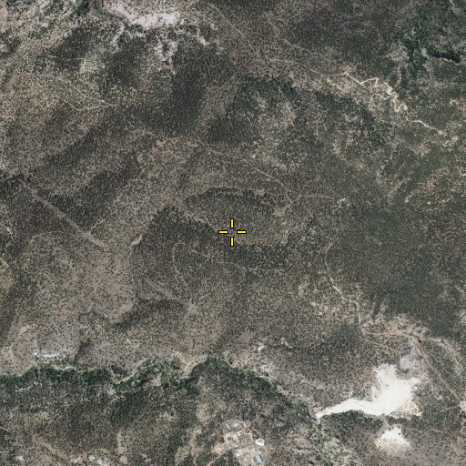 Aerial/Satellite Image of Last Attemp Lode, NM