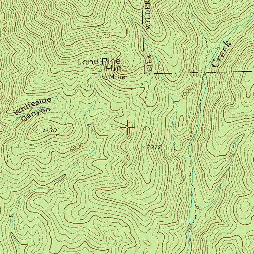 Topographic Map of Lower Little Dry Creek Working, NM