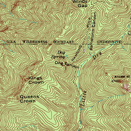 Topographic Map of Upper Little Dry Creek Working, NM