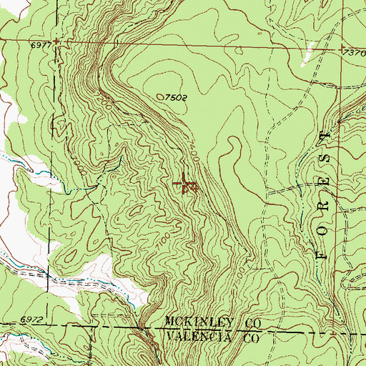 Topographic Map of Vallejo Mine, NM