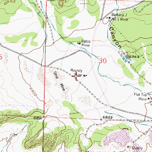 Topographic Map of Golden P Roundy Mine, NM
