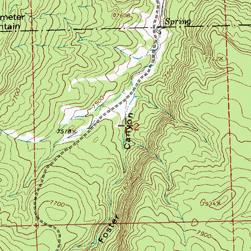 Topographic Map of Foster Canyon Group, NM
