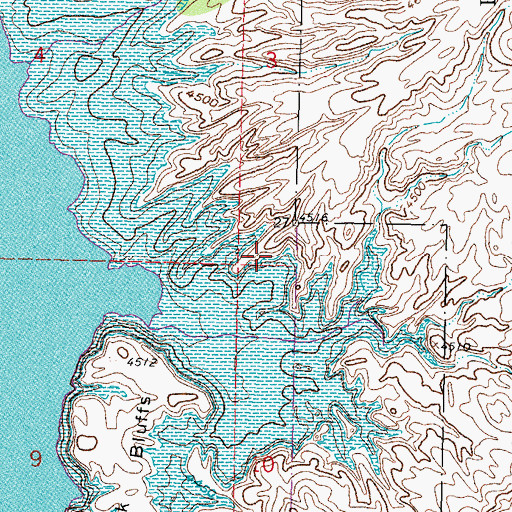 Topographic Map of Bolander, NM