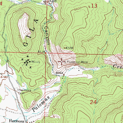 Topographic Map of Proctor Mine, NM