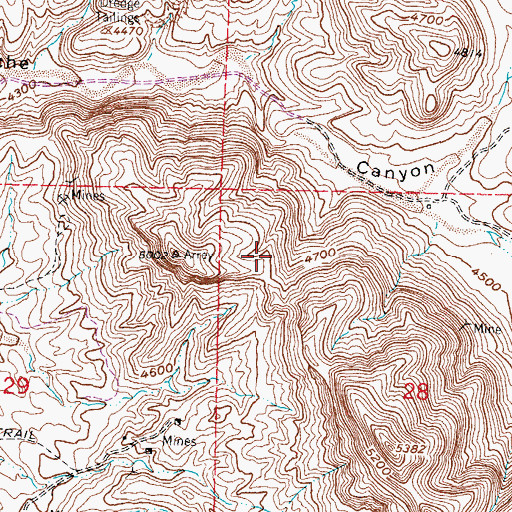 Topographic Map of Black Beauty, NM