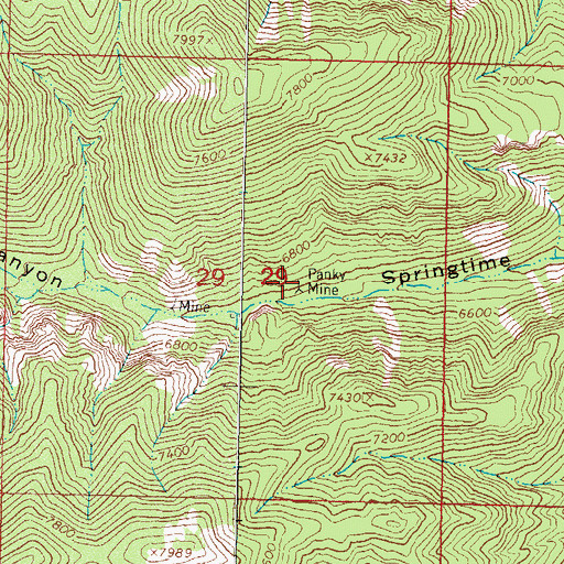 Topographic Map of Pankey, NM