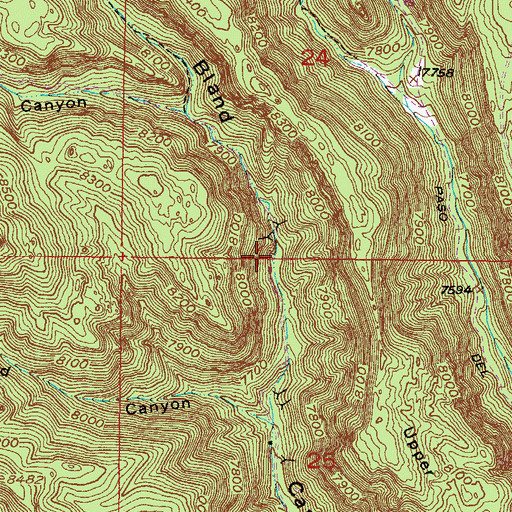 Topographic Map of Last Chance Lode, NM