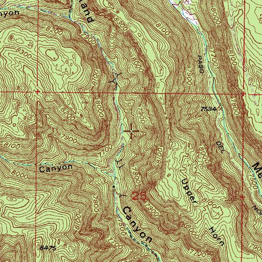 Topographic Map of Laura S. Claim, NM